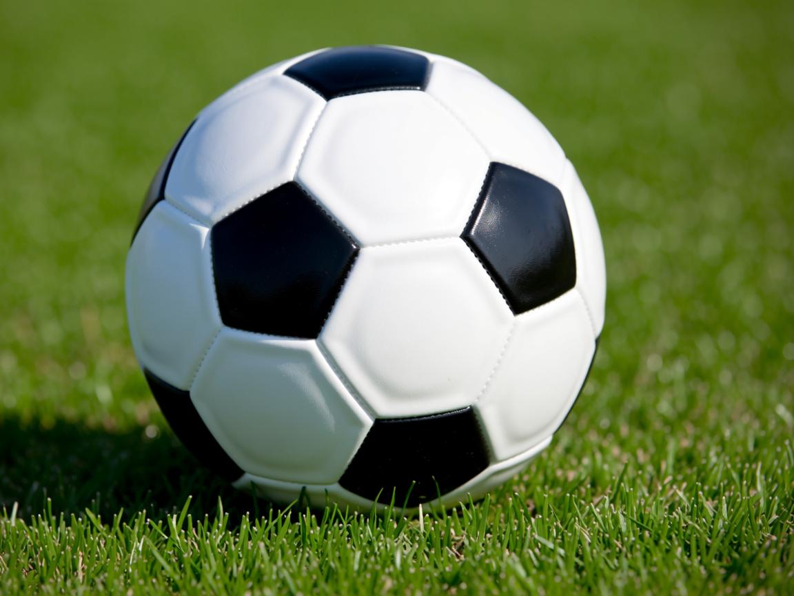 平博888-中国女篮连续夺冠 目标更进一步,中国女篮夺冠概率 第3张