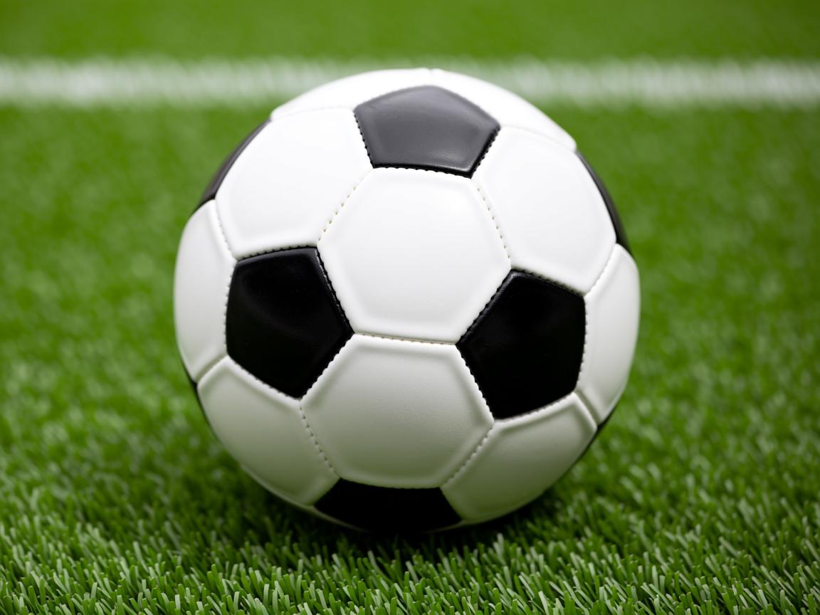 平博体育-国际乒联混合团体世界杯:澳大利亚队的表现让人期待未来,乒乓男团澳大利亚 第2张