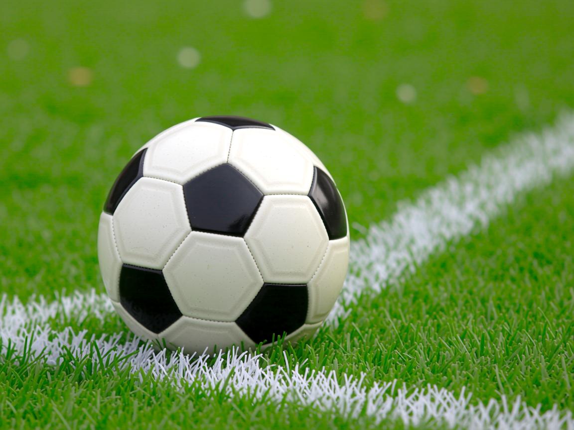 平博体育-国际乒联混合团体世界杯:澳大利亚队的表现让人期待未来,乒乓男团澳大利亚 第3张